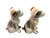 Vintage Terrier Glaze Ceramic Dog- Set of 2 For Sale In Baton Rouge - Image 6 of 7