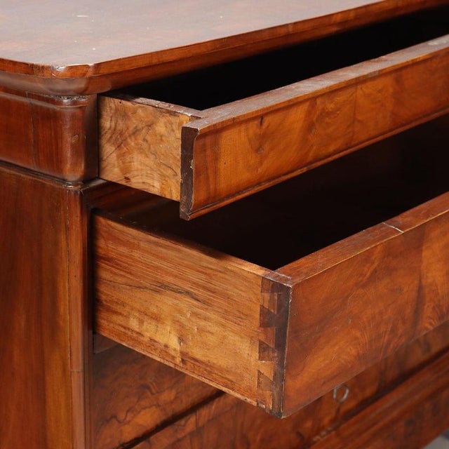 Cappuccino Chest of Drawers in Walnut For Sale - Image 5 of 11