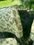 Set of 4 Vintage Brody Seating Company Chrome Dining Chairs With Original Floral Upholstery For Sale In Des Moines, IA - Image 6 of 10