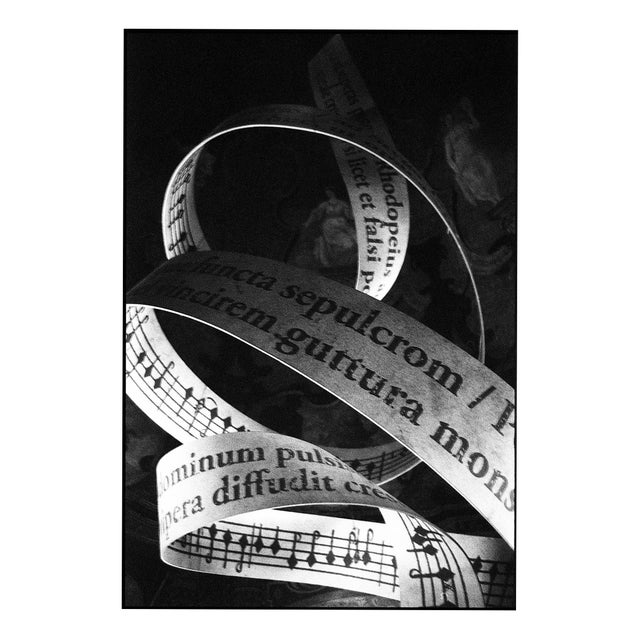 Paul Cooklin, Music, Edition of 50 For Sale
