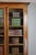 Bookcase in Walnut For Sale - Image 11 of 13