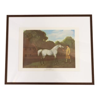 George Stubbs, Grey Horse Gimcrack, Late 20th Century, Print, Framed For Sale