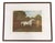 George Stubbs, Grey Horse Gimcrack, Late 20th Century, Print, Framed For Sale