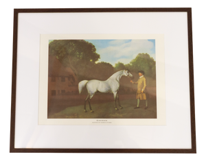 George Stubbs, Grey Horse Gimcrack, Late 20th Century, Print, Framed