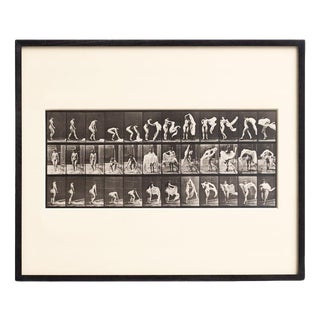 Eadweard Muybridge, Black and White Women in Motion Study, 1982, Photograph, Framed For Sale