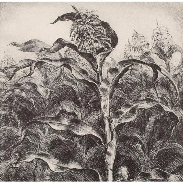 Farmhouse 1939 After John S. Curry "Corn", First Edition Period Cottage Style Offset Lithograph For Sale - Image 3 of 11