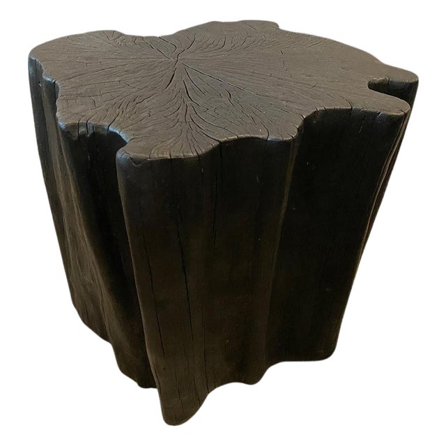 Andrianna Shamaris Amorphous Charred Side Table For Sale