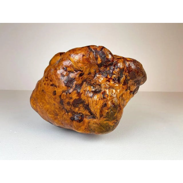 Large Swedish Folk Art Organic Burl Bowl, 1960s For Sale - Image 4 of 16