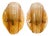 Amber Murano Wall Sconces Glass and Brass by J. T. Kalmar, Austria 1960s, Set of 2 For Sale
