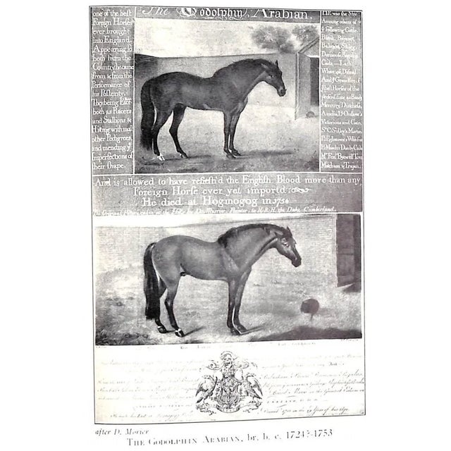 Early American Turf Stock 1730-1830 Volumes I & II & the Background of the American Stud Book For Sale - Image 18 of 18