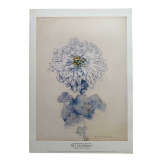 Piet Modrian (1872-1944), Chrysant, Na 1921, Copyright 1996 ABC/Mondrian Estate/...Printed in Holland /#827 For Sale