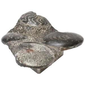 Organic Modern Biomorphic Stone Sculpture on Stainless Steel Custom Stand