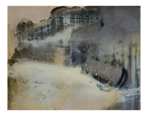 January 30, No. 8, 2010