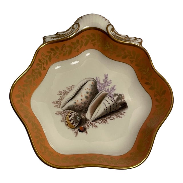 Mottahedeh for Historic Natchez Shell Dish For Sale