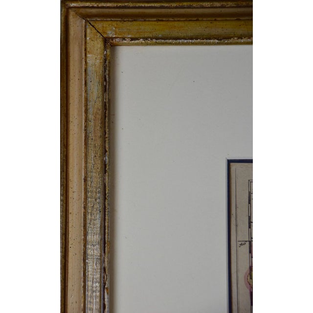 17th Century Dutch Map of Italy, Sicily, Sardinia, Corsica and Dalmatian Coast, 1690 For Sale - Image 9 of 9