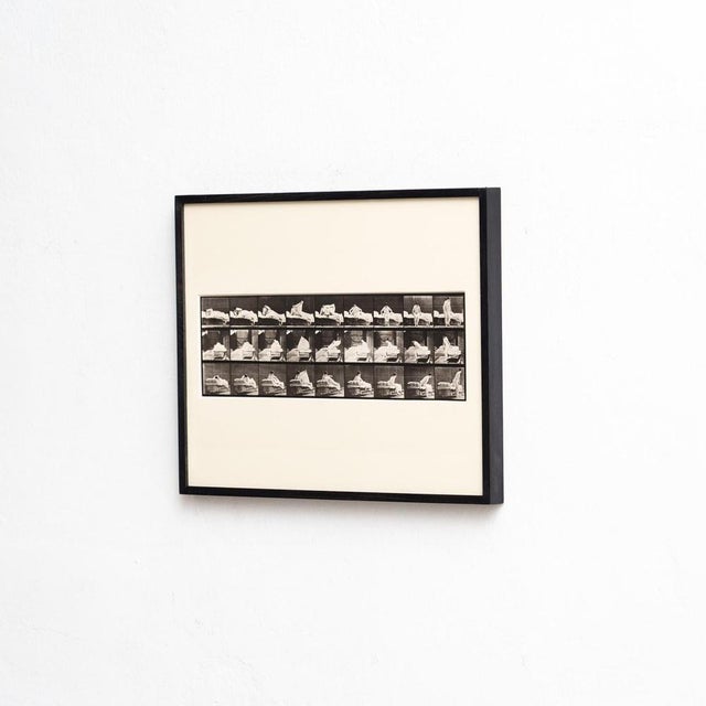 Contemporary Eadweard Muybridge, Black and White Women in Motion Study, 1982, Photograph, Framed For Sale - Image 3 of 10