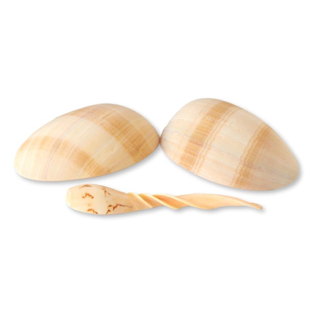 Nautical Natural Seashell Serving Set, 7 Pcs For Sale - Image 3 of 3