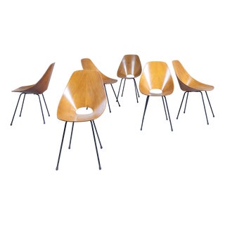 Medea Chairs by Vittorio Nobili, Set of 6 For Sale