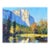 El Capitan in Autumn Gold - Original Oil Painting Landscape For Sale
