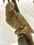 20th Century Palm Beach Chic Parrot and Palm Tree Lamps- A Pair For Sale - Image 15 of 18
