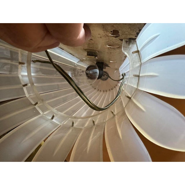 Plastic French Wall Light from Maison Arlus, 1950s For Sale - Image 7 of 12