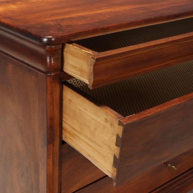 Cappuccino Chest of Drawers in Walnut For Sale - Image 3 of 8