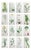 After Hooker, Botanical Illustrations, Prints, 1850, Set of 16 For Sale
