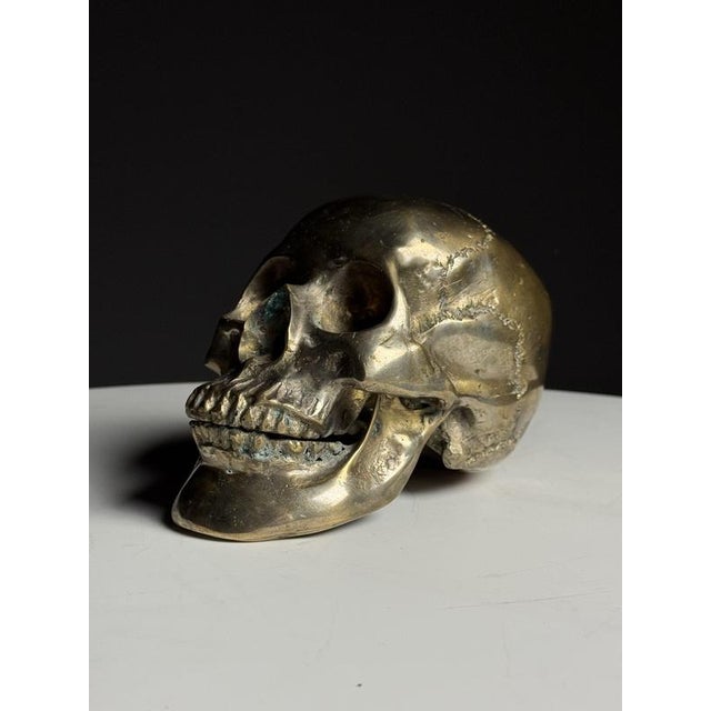 Early 20th Century Bronze Skull For Sale - Image 9 of 14