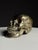 Early 20th Century Bronze Skull For Sale - Image 9 of 14