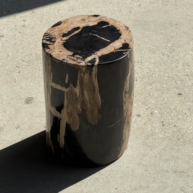 Small Side Table in Petrified Wood, Black Heartwood, Bark with Black and Beige Streaks, 1980s For Sale - Image 17 of 18