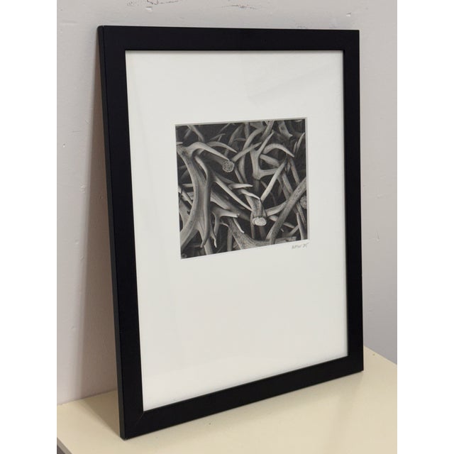 Contemporary Contemporary Antler Study Photograph, Signed For Sale - Image 3 of 12