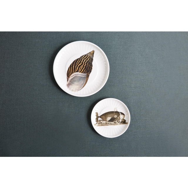 Illustration Whale Small Paper Plates Melamine, Set of 4 For Sale - Image 3 of 4