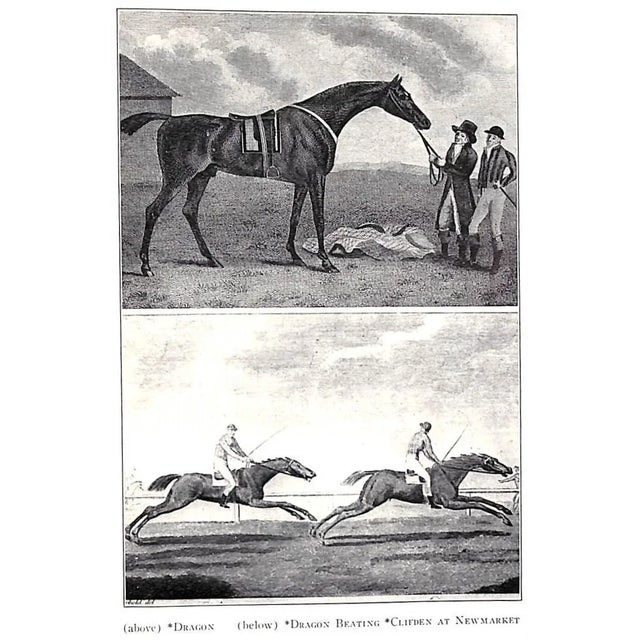 Early American Turf Stock 1730-1830 Volumes I & II & the Background of the American Stud Book For Sale - Image 17 of 18