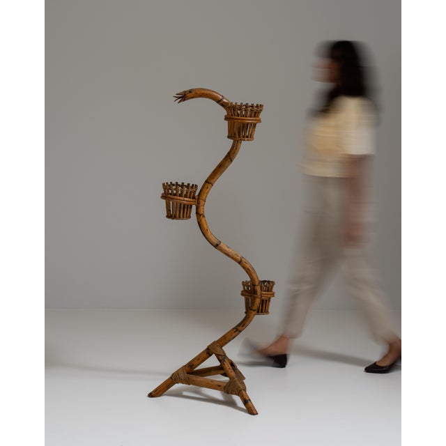 Wood 1960s French Amber Bamboo And Rattan Snake Plant Stand For Sale - Image 7 of 15