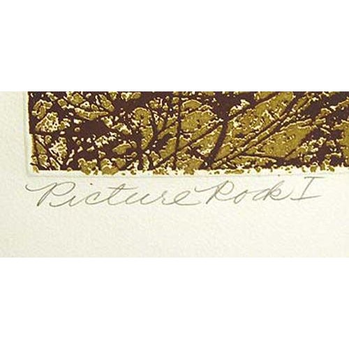 1980s Paula Crane "Picture Rock I" Signed Original Etching Gold Fall Trees For Sale - Image 4 of 4