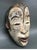 African African Bacongo Antique Wooden Mask With Stand For Sale - Image 3 of 6