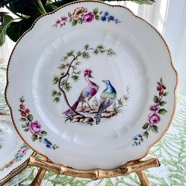 1930s Set of 6 Sevres birds bread plates // Traditional decor // decorative fine china // hand decorated and signed by artist // mix and match For Sale In Kansas City - Image 6 of 10