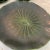 Shabby Chic Metlock Potteries “Lotus” by Poppytrail California Green Tableware, 1970’s - 20 Pieces For Sale - Image 3 of 9