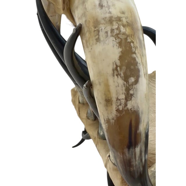 Rustic Pair of Rare Vintage Steer Horn &Amp; Cowhide Rustic Southwestern Armchairs. For Sale - Image 3 of 12