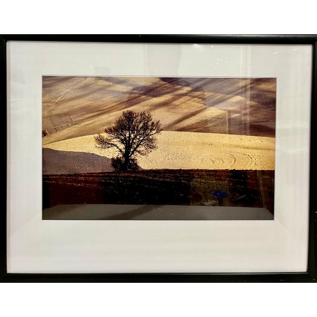 Franco Fontana (Italian, born 1933) Title: Landscape 1987 Edition 6/15 Medium: dye-transfer Dimensions: Frame 21.5 x 27.5....