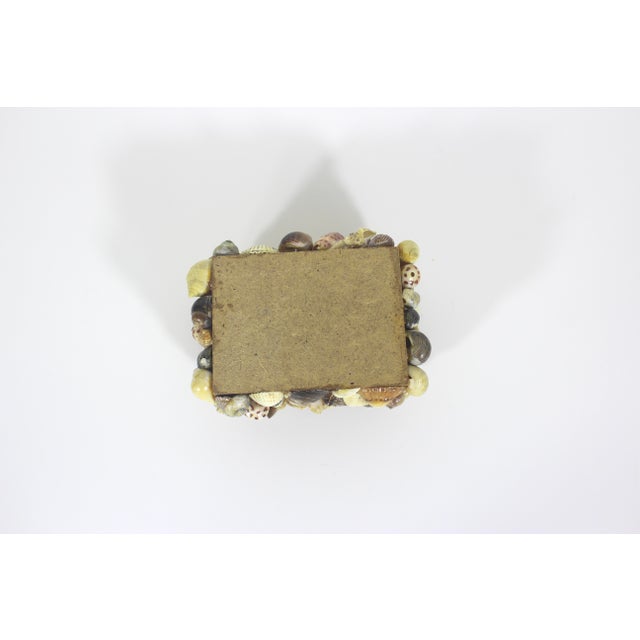 Vintage Snail Shell Encrusted Box For Sale - Image 11 of 11