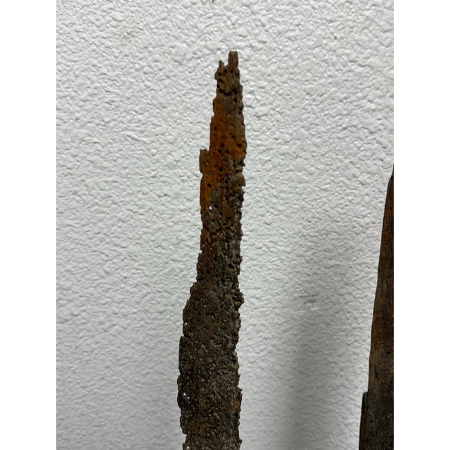 Black Wood + Iron Oar Artifacts on Stands, 19th Century For Sale - Image 8 of 12