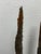 Black Wood + Iron Oar Artifacts on Stands, 19th Century For Sale - Image 8 of 12