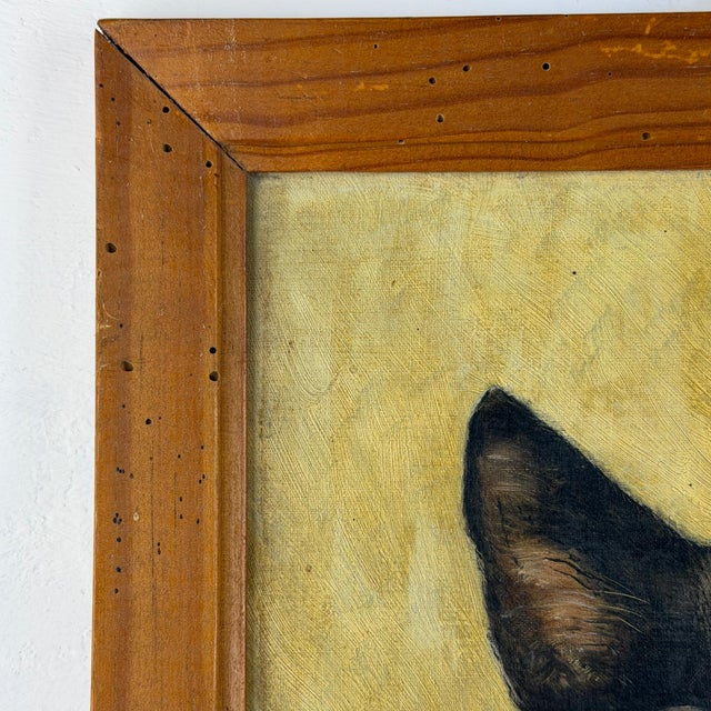 Black Cat Portrait, 1920s, Oil Painting on Panel, Framed For Sale - Image 8 of 14