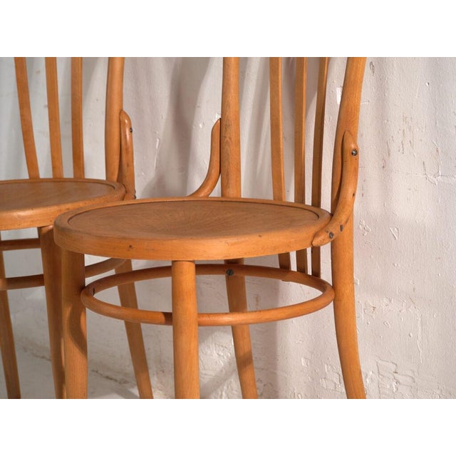 Bentwood Chairs in the style of Thonet, Central Europe, 1930, Set of 4 For Sale - Image 11 of 15