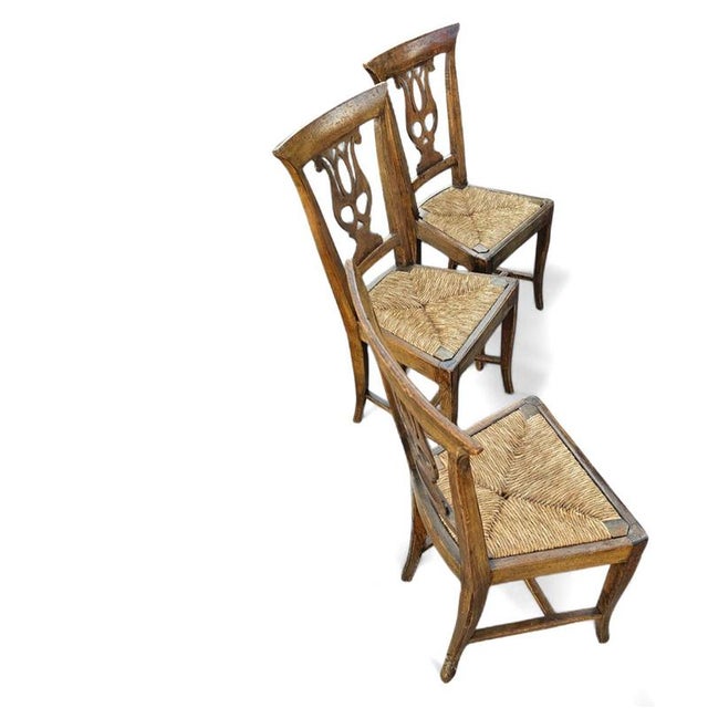Elm Dining Chairs with Carved Back Frames in Rosette, France, 1890-1900, Set of 4 For Sale - Image 4 of 18