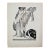 Fashion Illustration Print by Pierre Mourge , 1920 For Sale
