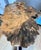 Brown Handcrafted Burlwood Table - One of a Kind Statement Piece For Sale - Image 8 of 11
