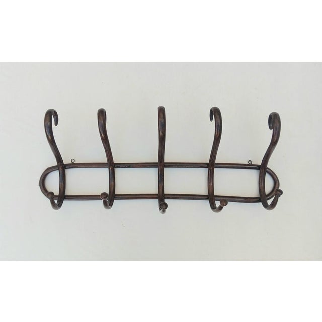 Vintage Wall Coat Rack in Bentwood, 1950s For Sale - Image 3 of 6