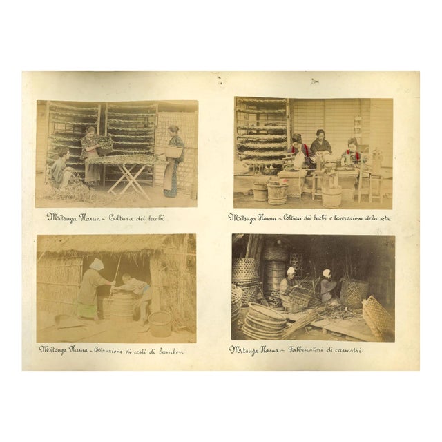 Unknown, Japanese Ethnographic Photograph, Vintage Albumen Print, 1880s/1890s, Set of 7 For Sale